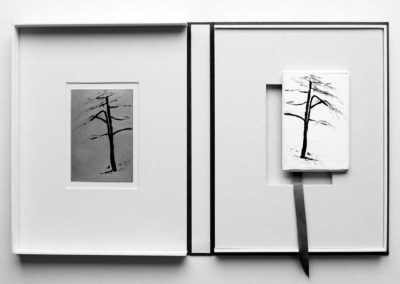 Gesso alla Romana 03