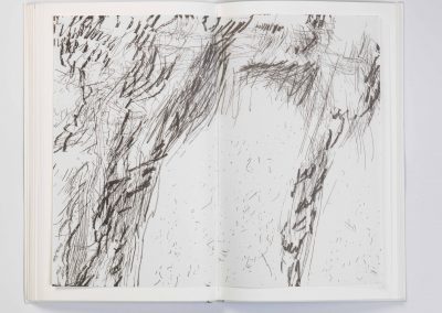 Drei Bände in Leder mit Suite libre der einzelnen Motive